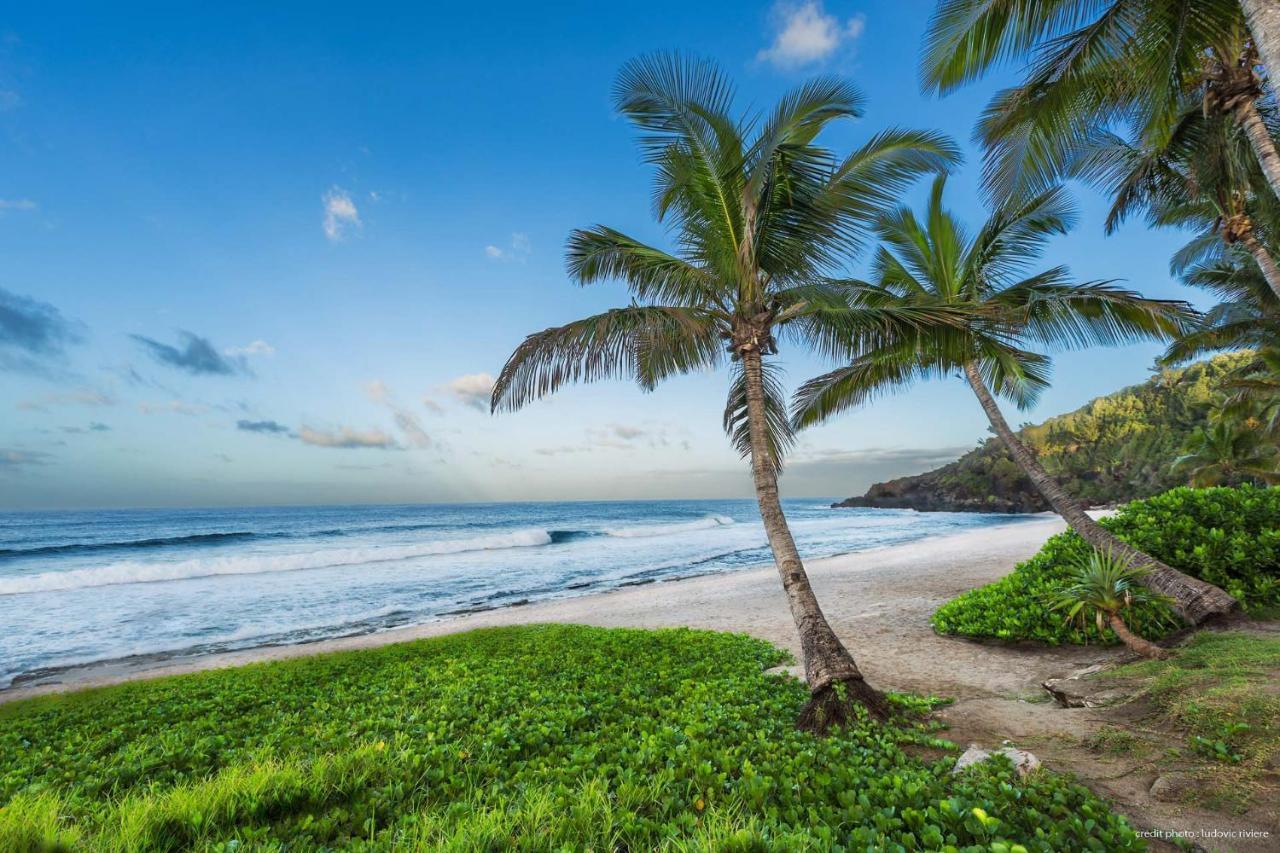 T2 Cosy A 100M De La Plage, Saint-Pierre, Luma Appart المظهر الخارجي الصورة